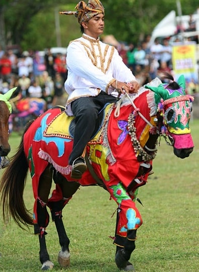 Bajau pony