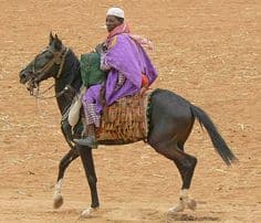 Bandiagara horse