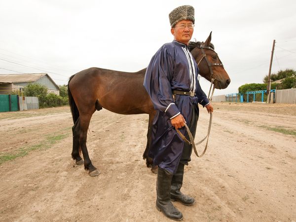 Astrakhan horse