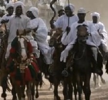 Western Sudan pony