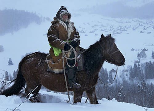 Tuva Horse