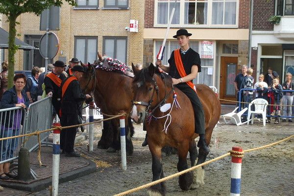 Zeeland Horse